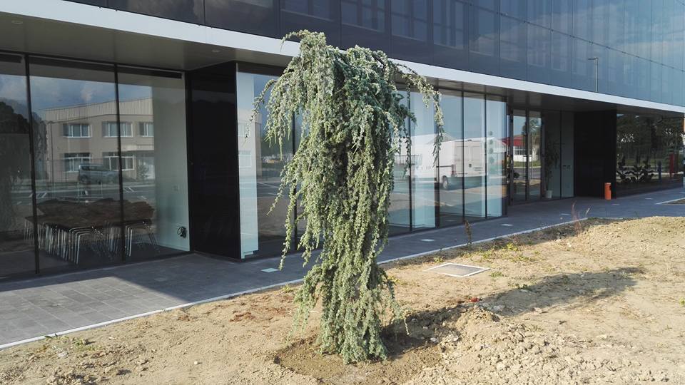 Hortida galerija 10