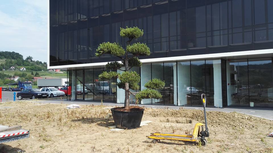 Hortida galerija 15