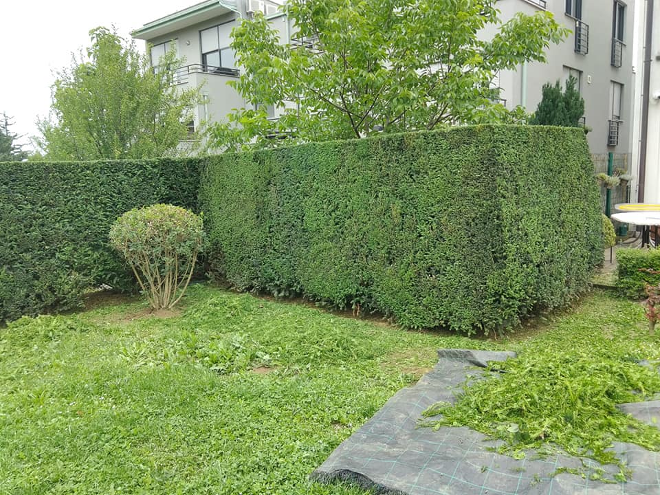 Hortida galerija 2